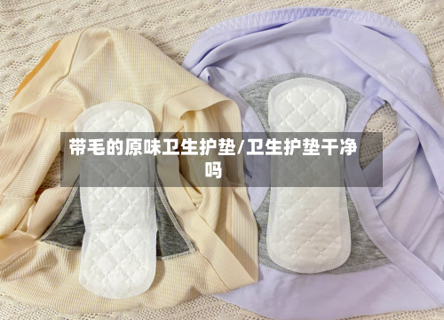 带毛的原味卫生护垫/卫生护垫干净吗-第2张图片