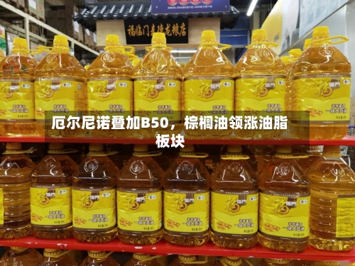 厄尔尼诺叠加B50，棕榈油领涨油脂板块-第1张图片