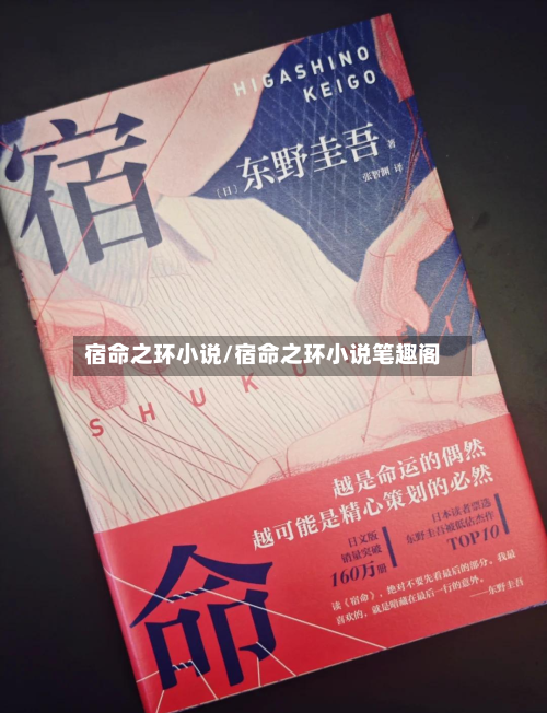 宿命之环小说/宿命之环小说笔趣阁-第2张图片