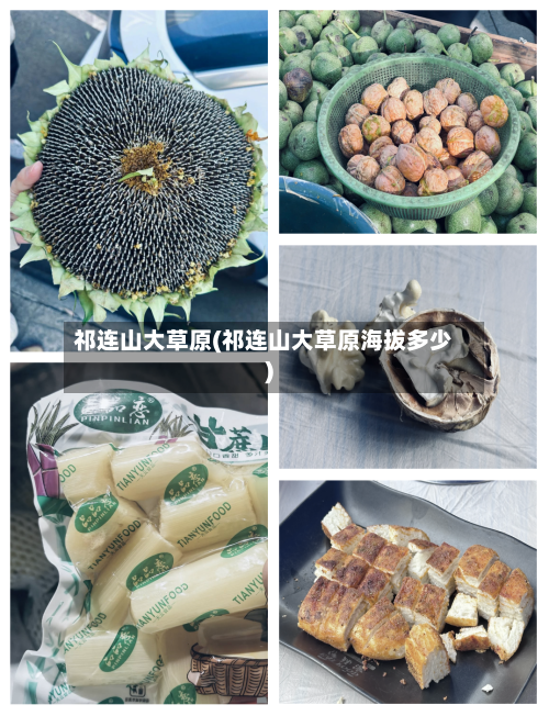 祁连山大草原(祁连山大草原海拔多少)-第2张图片