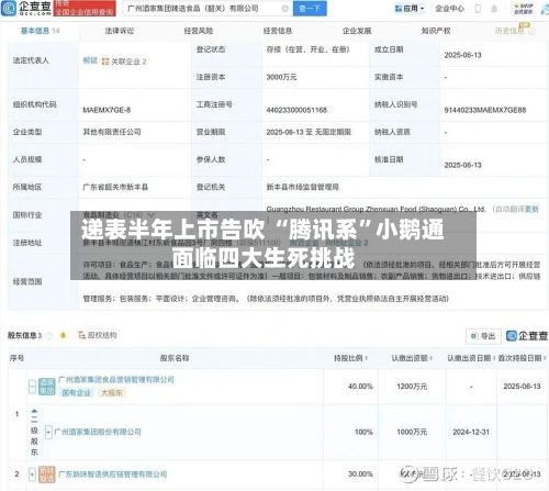 递表半年上市告吹 “腾讯系	”小鹅通面临四大生死挑战-第2张图片