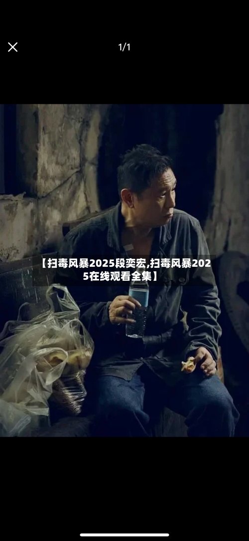 【扫毒风暴2025段奕宏,扫毒风暴2025在线观看全集】-第1张图片