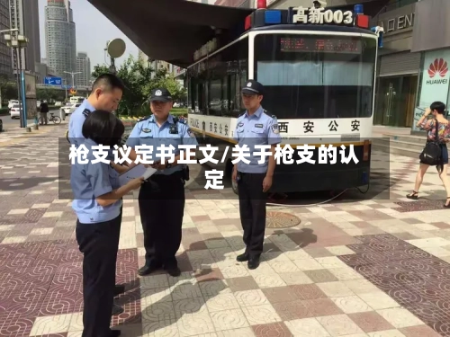 枪支议定书正文/关于枪支的认定-第1张图片