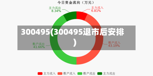 300495(300495退市后安排)-第1张图片