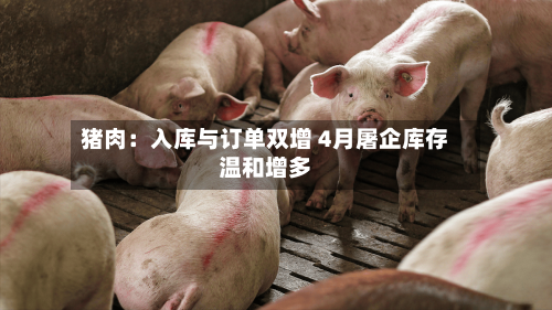 猪肉：入库与订单双增 4月屠企库存温和增多-第1张图片