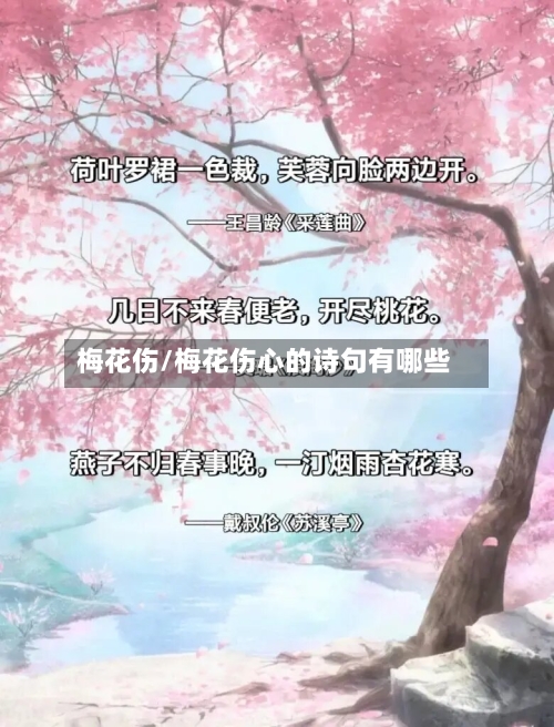 梅花伤/梅花伤心的诗句有哪些-第3张图片