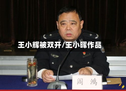 王小辉被双开/王小晖作品-第1张图片