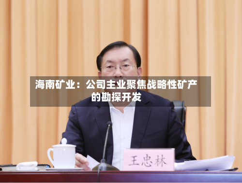海南矿业：公司主业聚焦战略性矿产的勘探开发-第1张图片