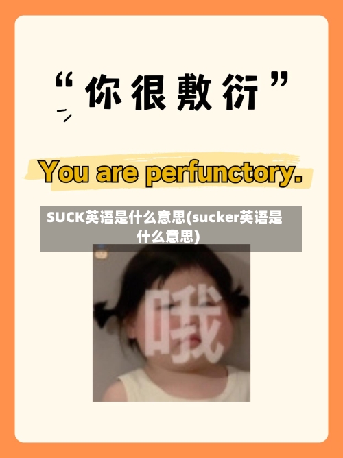 SUCK英语是什么意思(sucker英语是什么意思)-第2张图片
