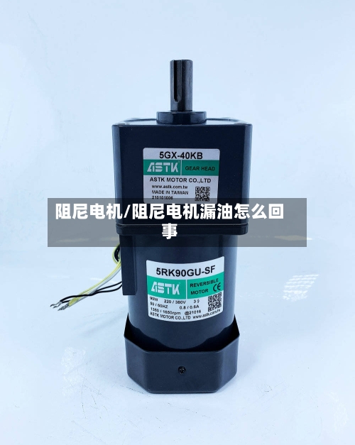 阻尼电机/阻尼电机漏油怎么回事-第1张图片
