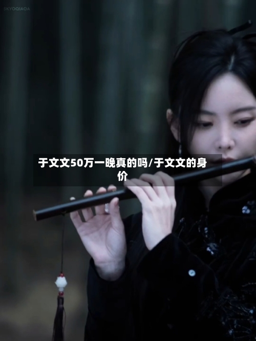 于文文50万一晚真的吗/于文文的身价-第1张图片