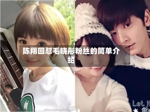 陈翔回怼毛晓彤粉丝的简单介绍-第2张图片