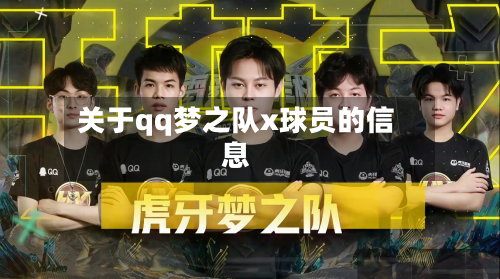 关于qq梦之队x球员的信息-第1张图片