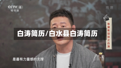 白涛简历/白水县白涛简历-第1张图片