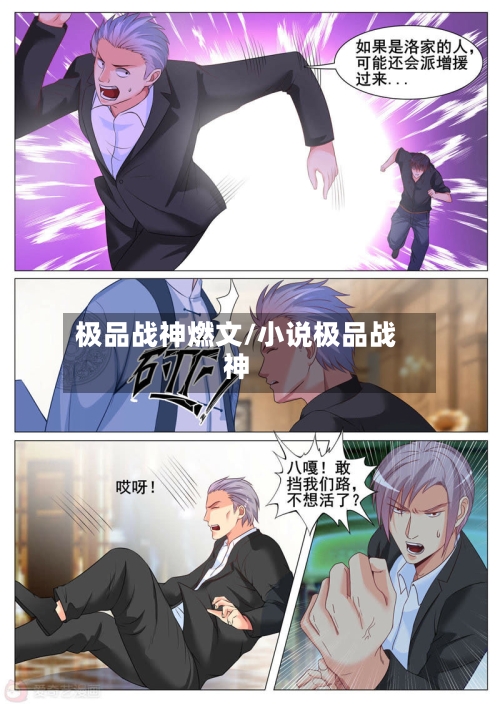 极品战神燃文/小说极品战神-第2张图片