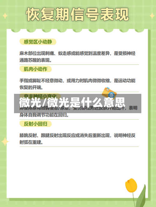 微光/微光是什么意思-第1张图片