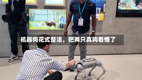 机器狗花式整活	，把两只真狗看懵了-第1张图片