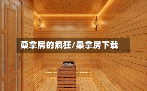 桑拿房的疯狂/桑拿房下载-第3张图片