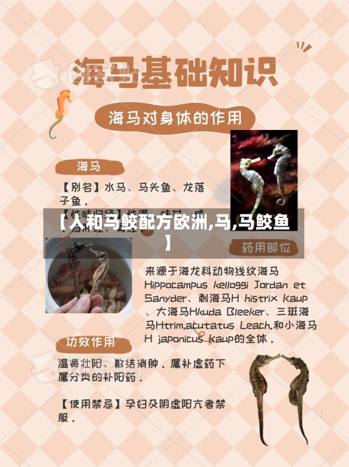 【人和马鲛配方欧洲,马,马鲛鱼】-第1张图片