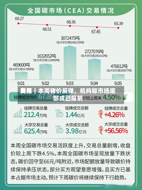 费用周报｜本周猪价反弹	，机构称市场底部或已探明-第1张图片