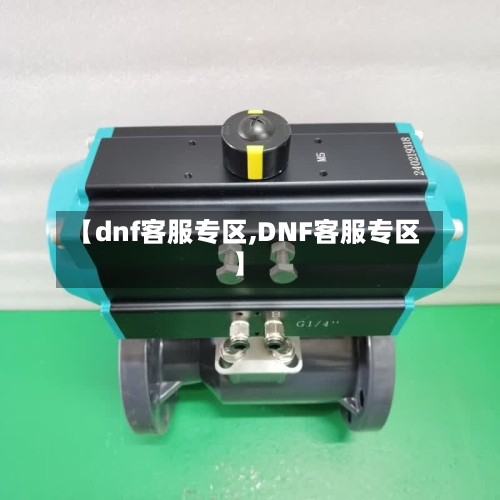 【dnf客服专区,DNF客服专区】-第3张图片