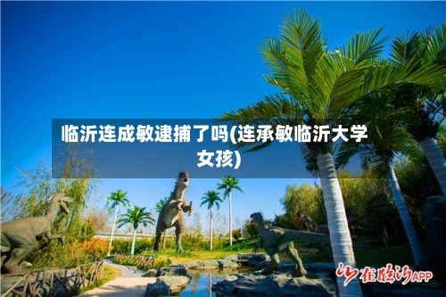 临沂连成敏逮捕了吗(连承敏临沂大学女孩)-第1张图片