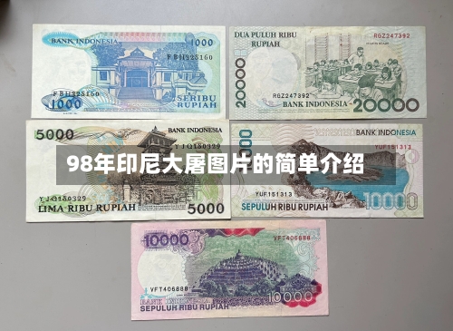 98年印尼大屠图片的简单介绍-第1张图片