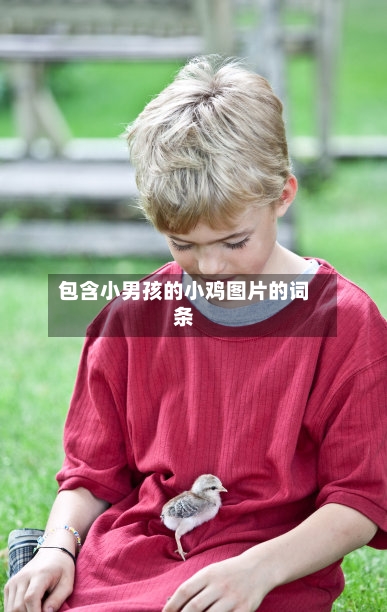 包含小男孩的小鸡图片的词条-第1张图片
