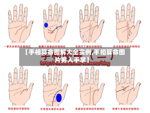 【手相算命图解大全实例,手相算命图片男人手掌】-第1张图片