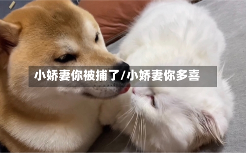 小娇妻你被捕了/小娇妻你多喜-第1张图片