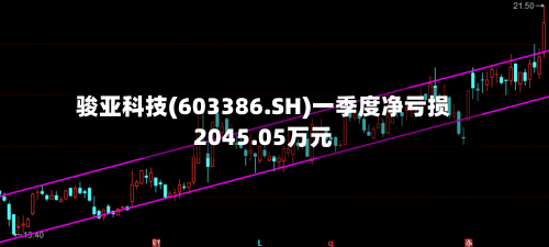 骏亚科技(603386.SH)一季度净亏损2045.05万元-第1张图片