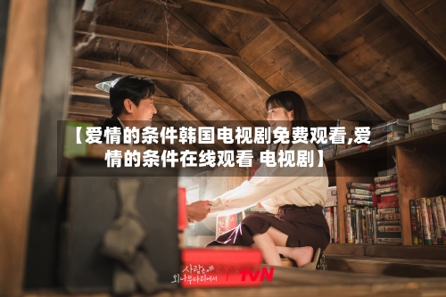 【爱情的条件韩国电视剧免费观看,爱情的条件在线观看 电视剧】-第2张图片
