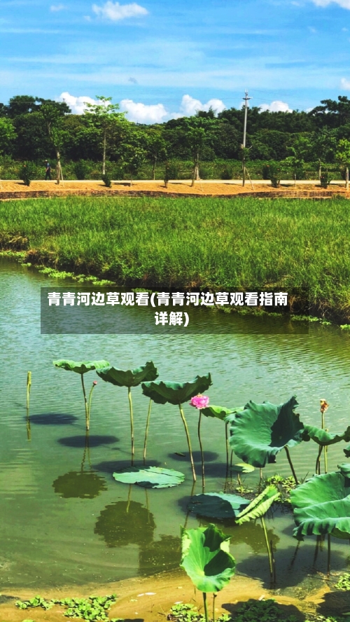 青青河边草观看(青青河边草观看指南详解)-第1张图片
