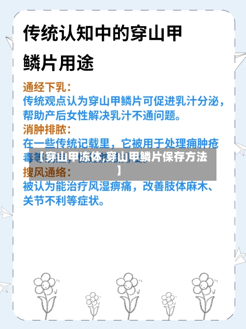 【穿山甲冻体,穿山甲鳞片保存方法】-第1张图片