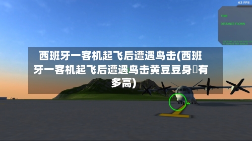 西班牙一客机起飞后遭遇鸟击(西班牙一客机起飞后遭遇鸟击黄豆豆身髙有多高)-第1张图片