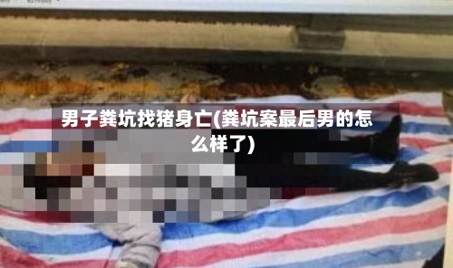 男子粪坑找猪身亡(粪坑案最后男的怎么样了)-第2张图片