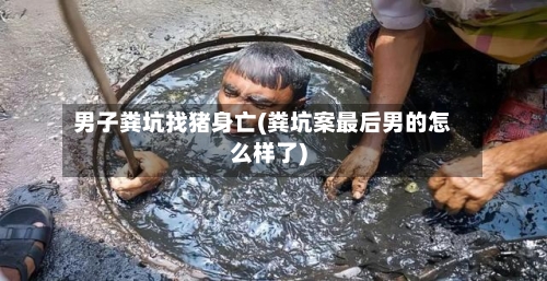 男子粪坑找猪身亡(粪坑案最后男的怎么样了)-第1张图片