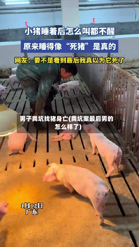男子粪坑找猪身亡(粪坑案最后男的怎么样了)-第3张图片
