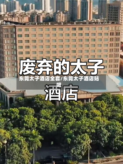 东莞太子酒店全套/东莞太子酒店贴吧-第3张图片