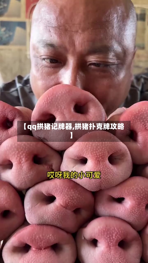 【qq拱猪记牌器,拱猪扑克牌攻略】-第1张图片