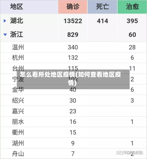 怎么看所处地区疫情(如何查看地区疫情)-第2张图片