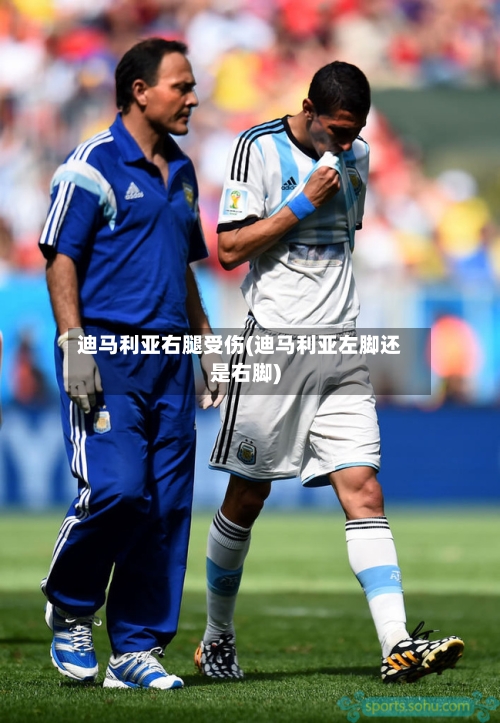 迪马利亚右腿受伤(迪马利亚左脚还是右脚)-第2张图片
