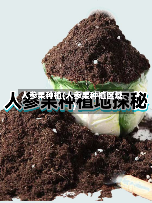 人参果种植(人参果种植区域)-第3张图片