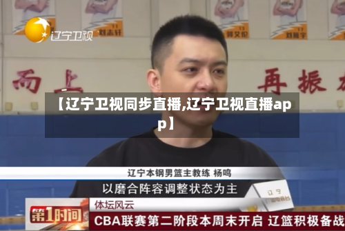 【辽宁卫视同步直播,辽宁卫视直播app】-第2张图片