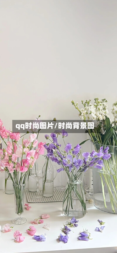 qq时尚图片/时尚背景图-第1张图片