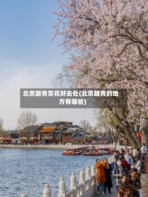 北京踏青赏花好去处(北京踏青的地方有哪些)-第1张图片
