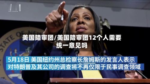 美国陪审团/美国陪审团12个人需要统一意见吗-第2张图片