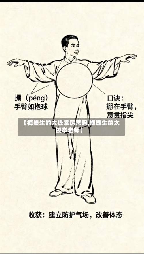 【梅墨生的太极拳厉害吗,梅墨生的太极拳老师】-第2张图片