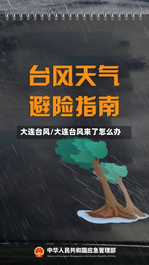 大连台风/大连台风来了怎么办-第1张图片