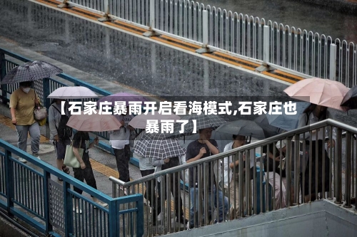 【石家庄暴雨开启看海模式,石家庄也暴雨了】-第3张图片